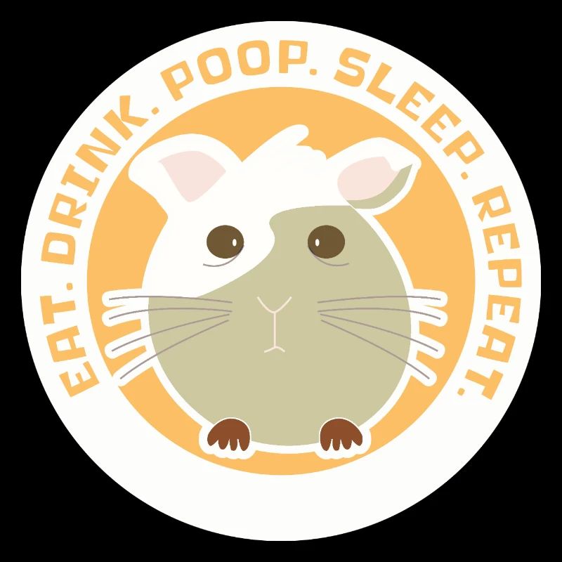Cochon D'inde eat, drink, poop, sleep, repeat