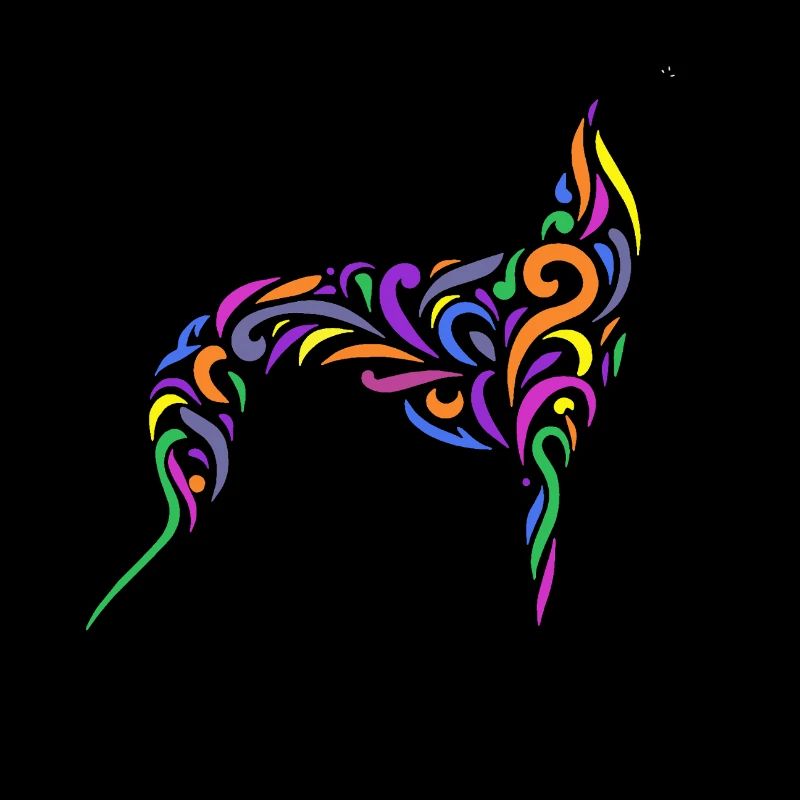 Rainbow Galgo - 20250605