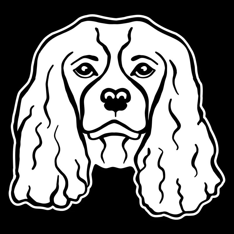 Cavalier King Charles