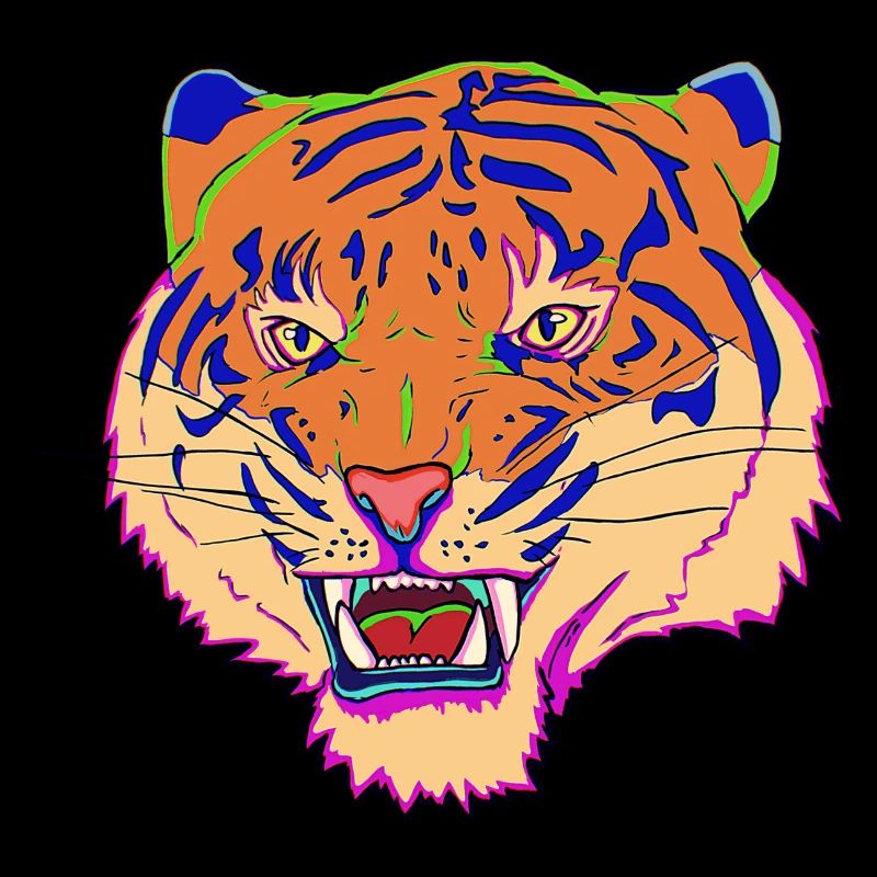 Conception du tigre