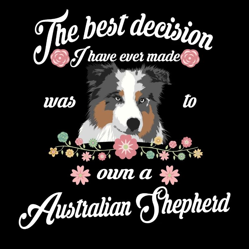 Australian Shepherd