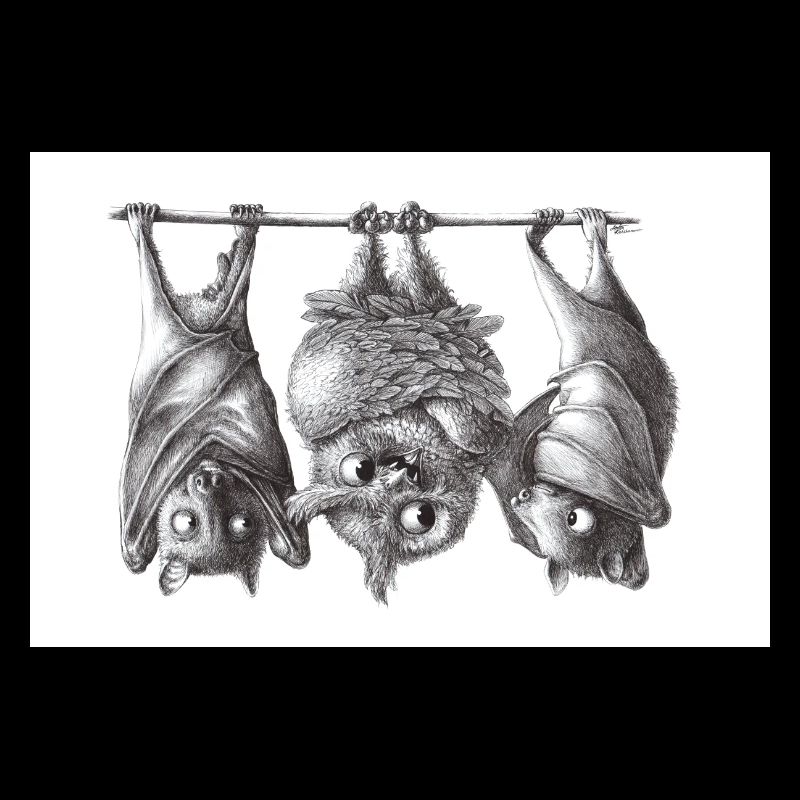 Vampire owl and bats