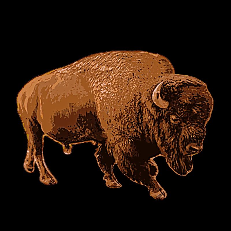 bison