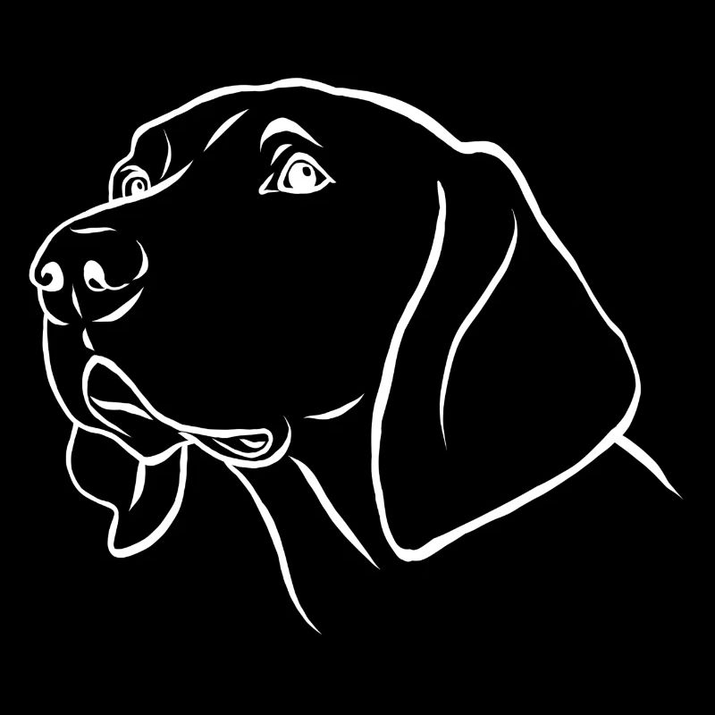 Weimaraner