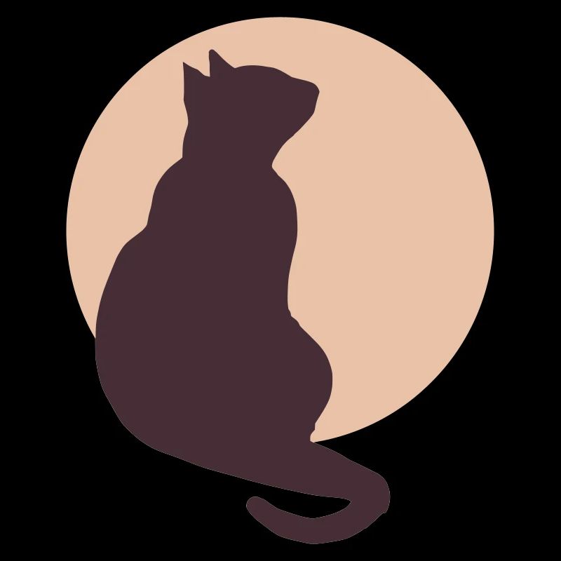 Chat de la Lune