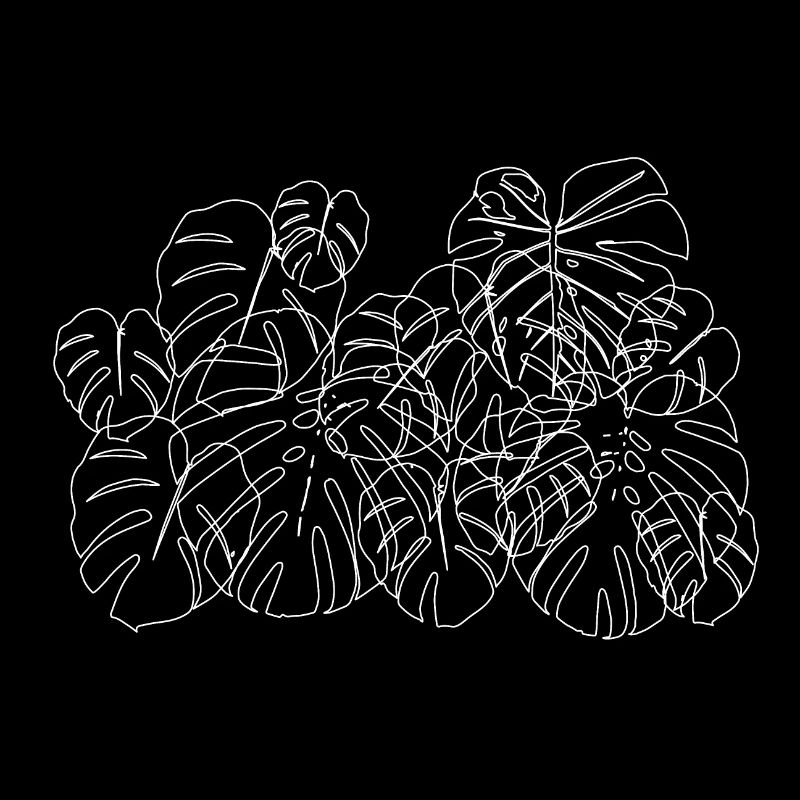 Feuilles tropicales de Monstera