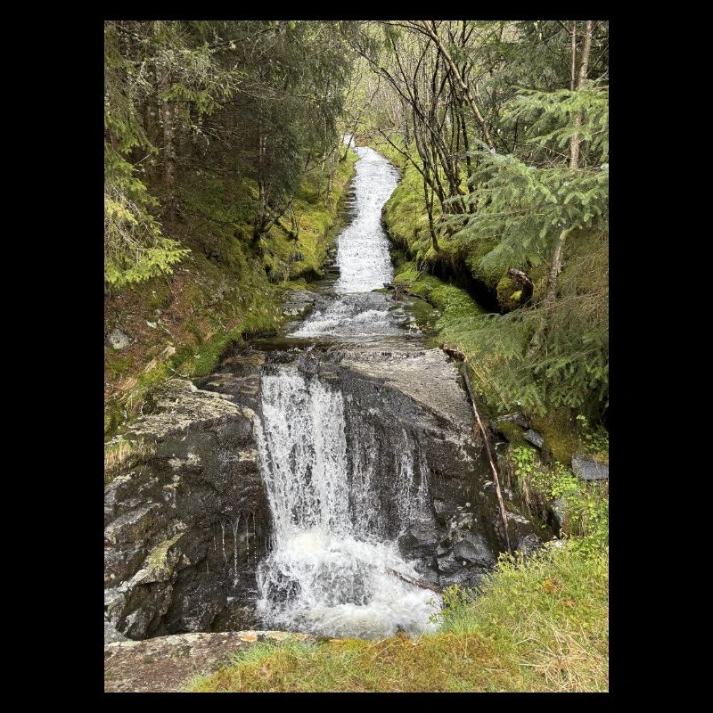 Naturpark Wasserfall Design