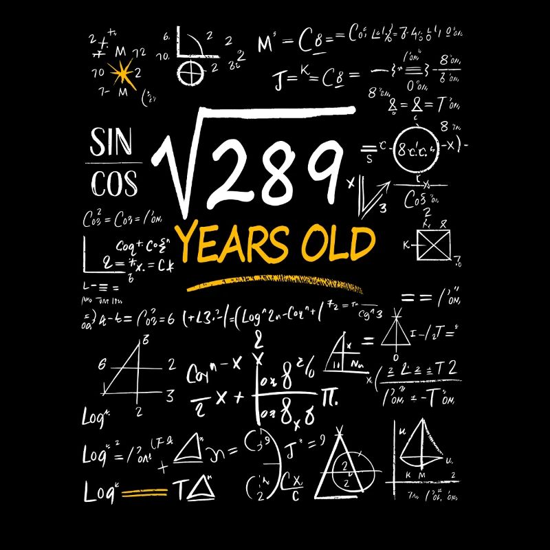 17 Years Birthday Math Formulas Funny