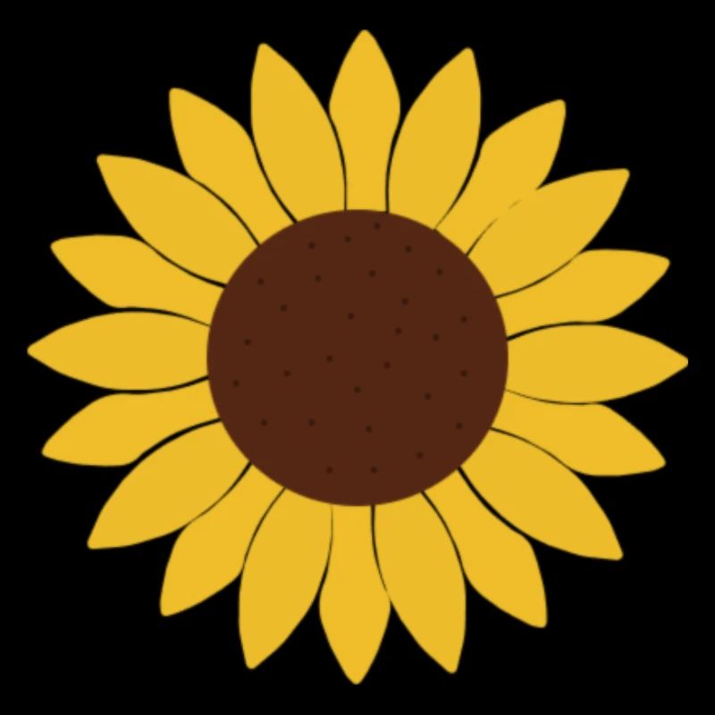 Sonnenblume
