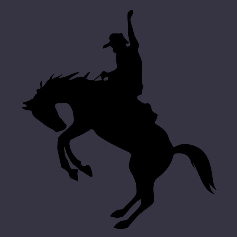 Rodeo de