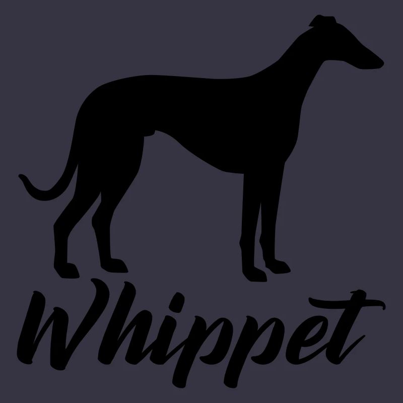 Whippet