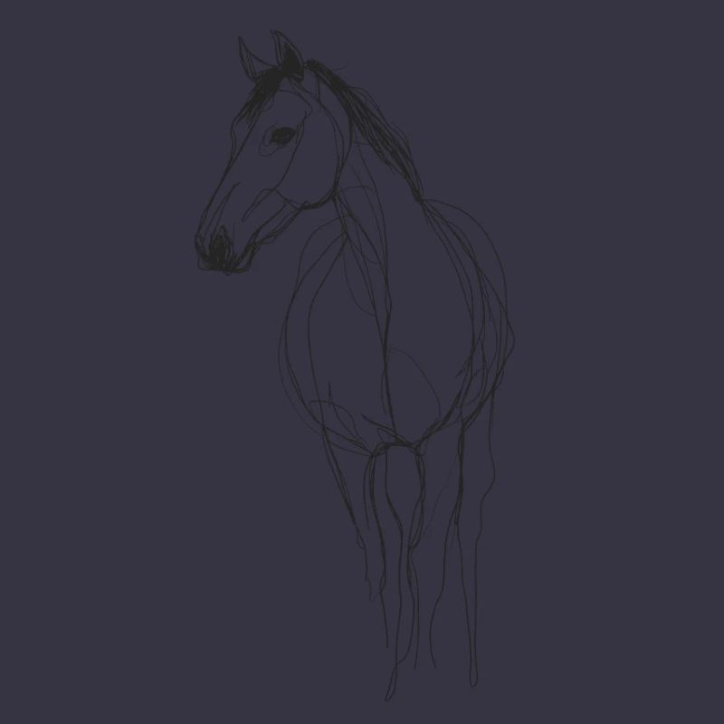 Line Art Pferd
