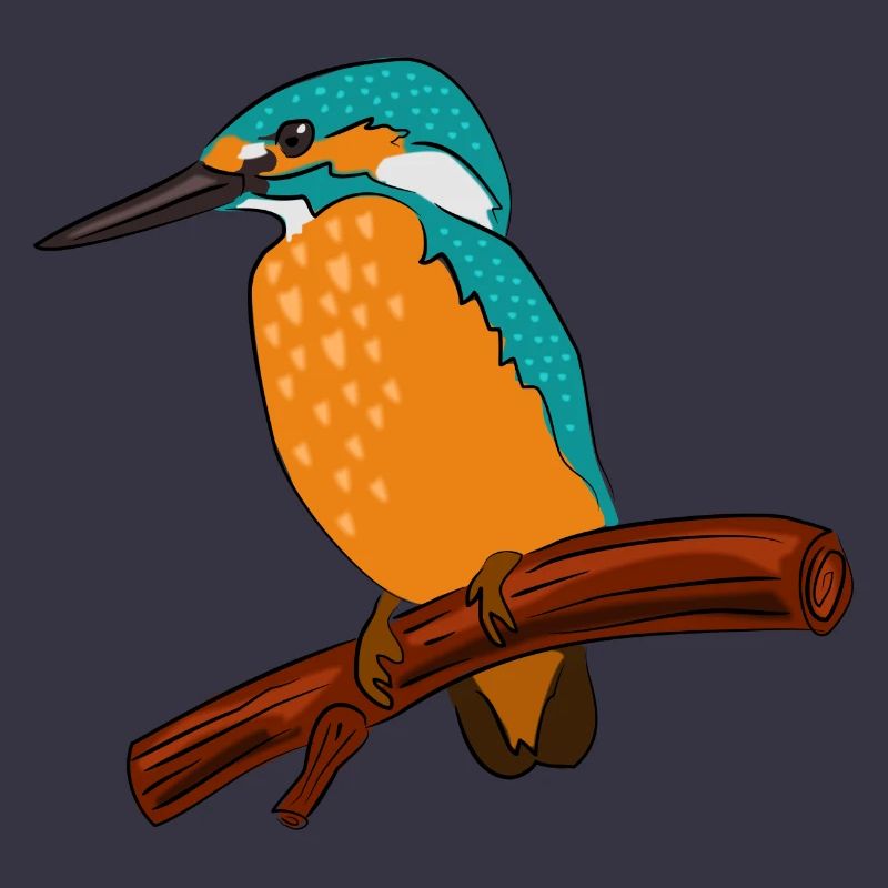 eisvogel vogel bunt