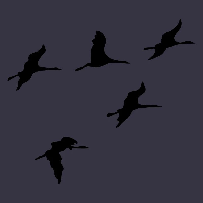 kraniche vogel reise