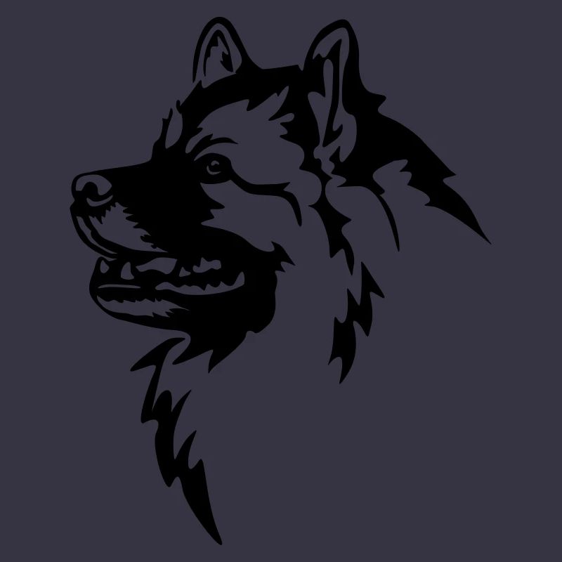 Wolfsspitz Kopf
