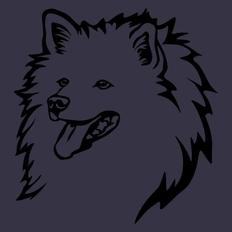 Spitz Kopf