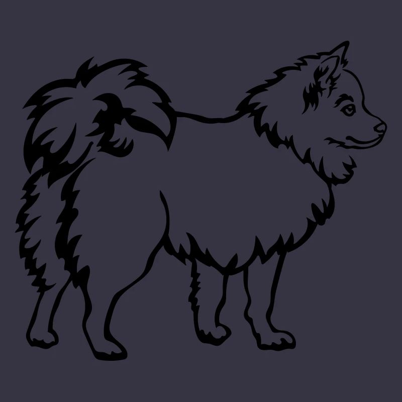 Spitz