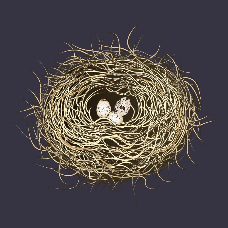 Vogelnest oder Osternest mit drei Vogel Eier