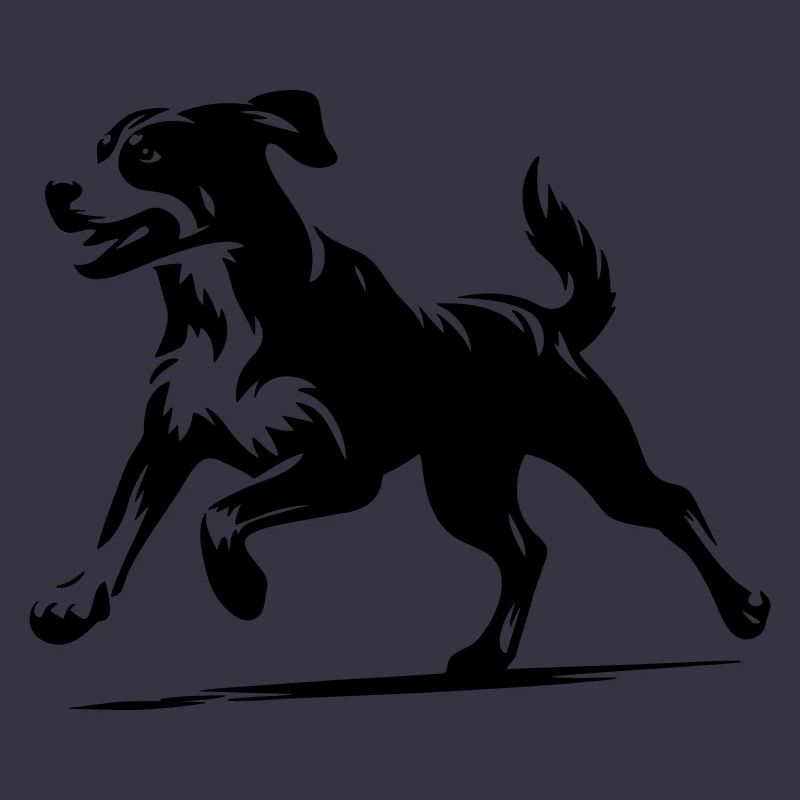 Entlebucher Sennenhund