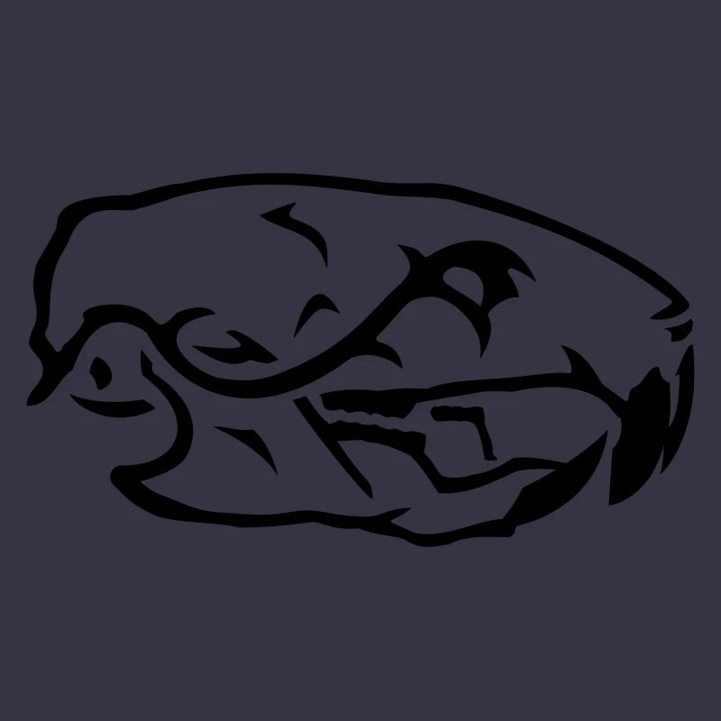 Ratten Skull Schädel