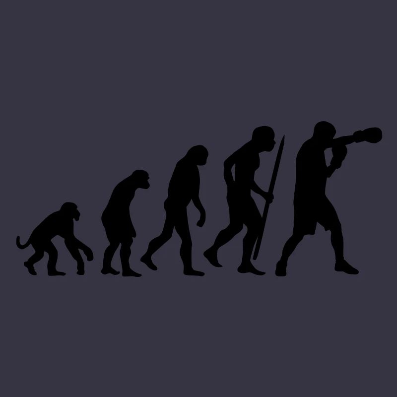 Evolution de la boxe