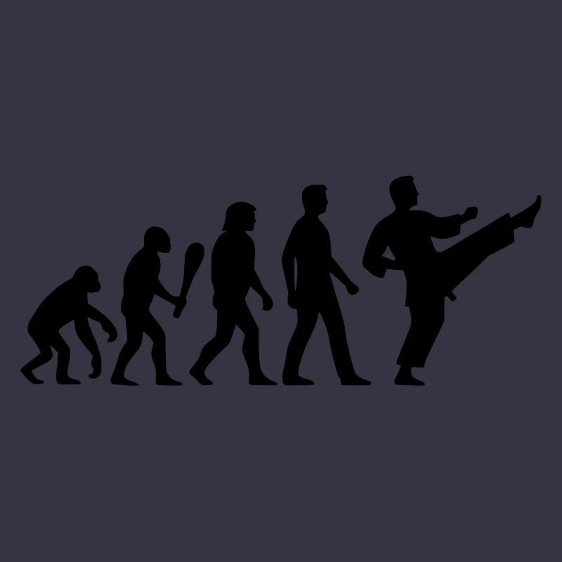Karate Evolution
