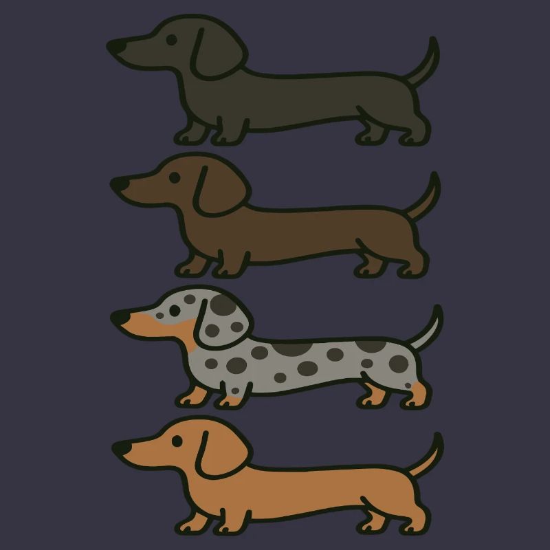 Variations de couleur de Teckel mignons