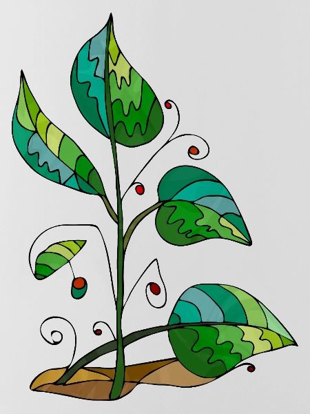 leaves