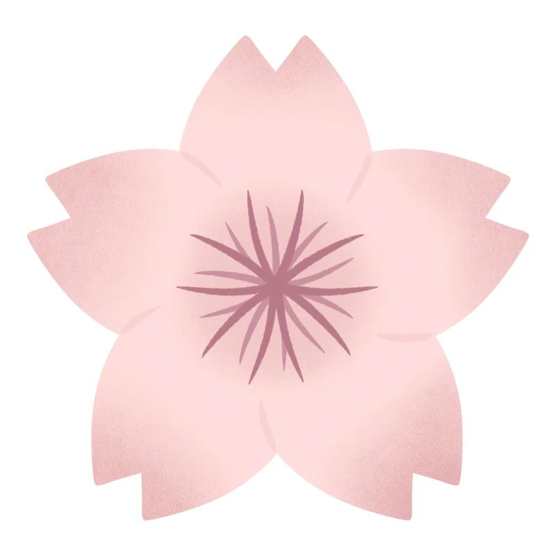 Blush Cherry Bloom