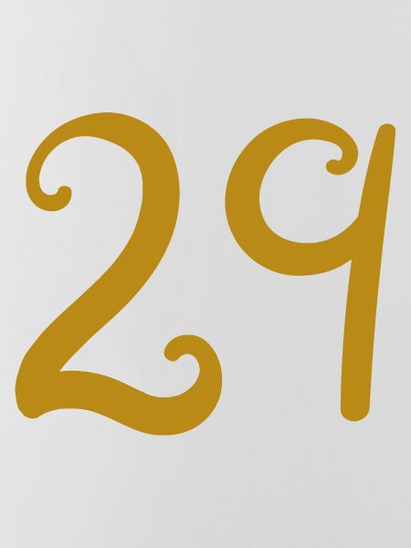 29