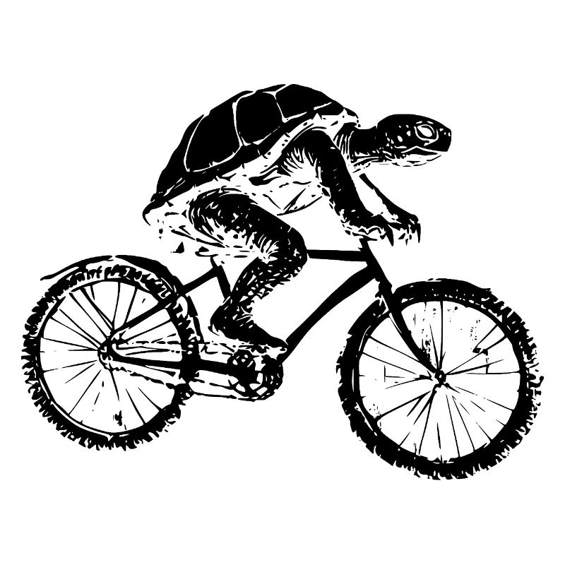 Bicycle Turtle