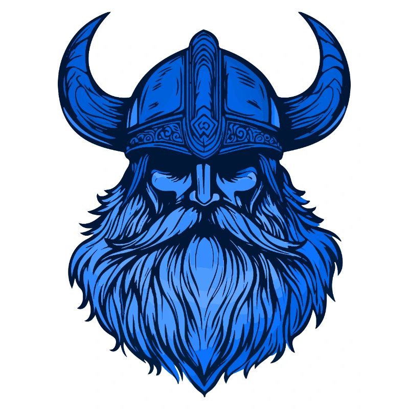 Wikinger Kopf