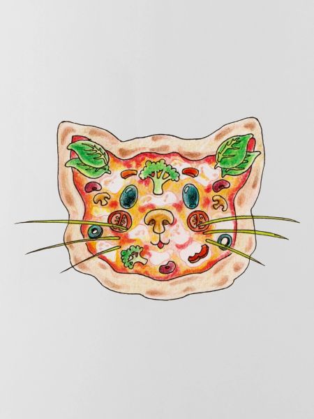 Pizza Cat