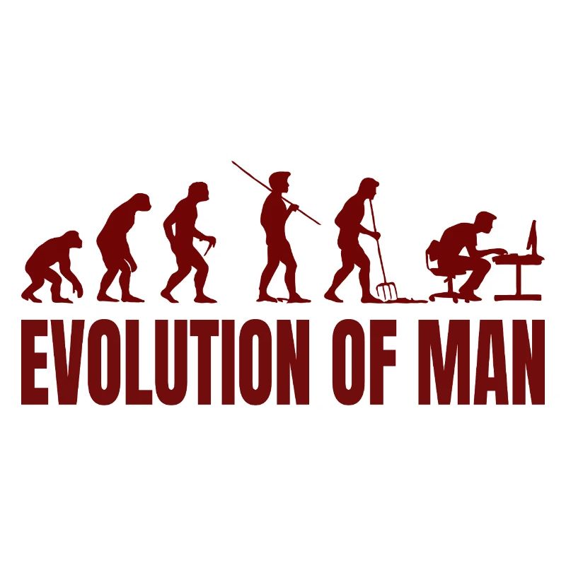 Informatique PC Evolution Programmeur Informatien