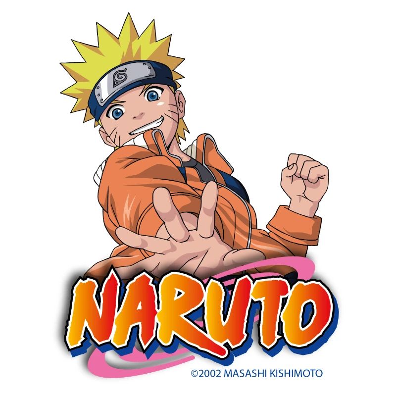 Naruto Ninja Design Anime