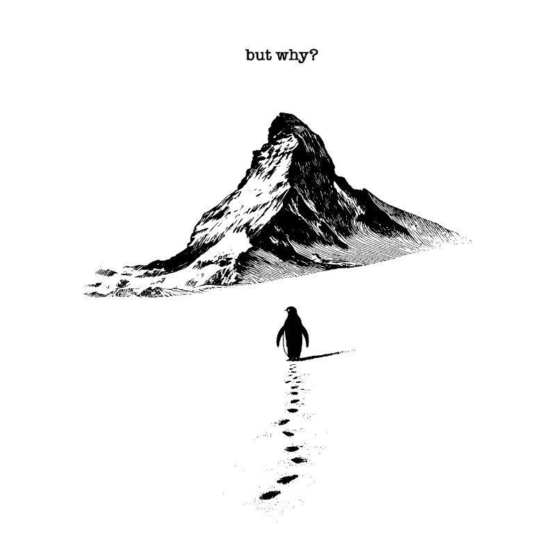 Nihilist Penguin but why?