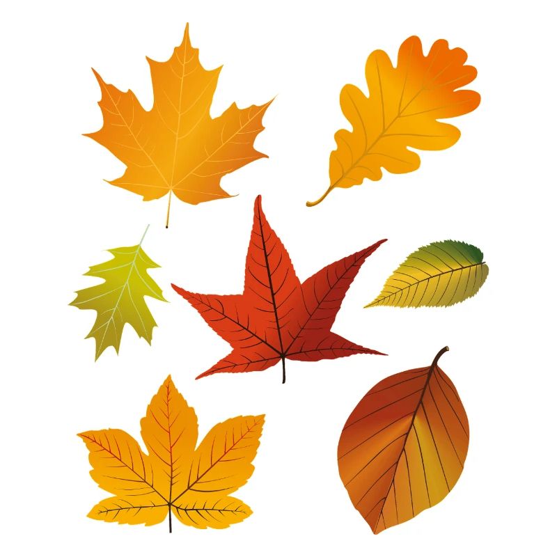 Feuilles d’automne
