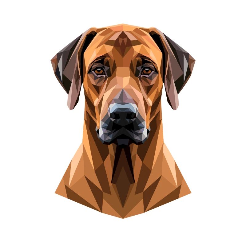 Rhodesian Ridgeback Jagdhund Hunde Stolz Ridgeback