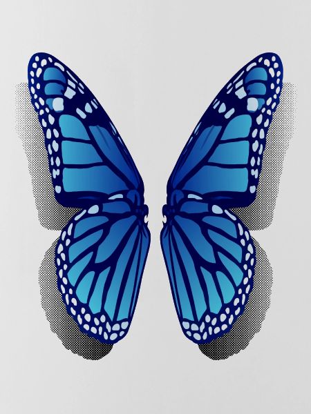 Monarch butterfly wings