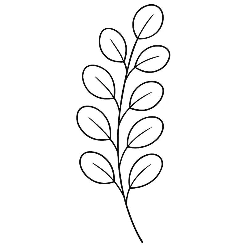 Conception des feuilles de branche de ligne