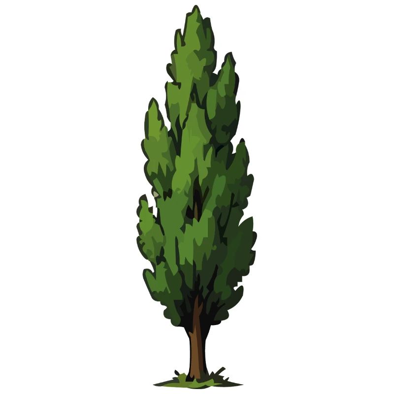 Stylized Green Tree Shape