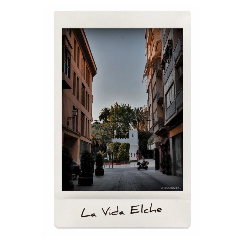 Leben Elche