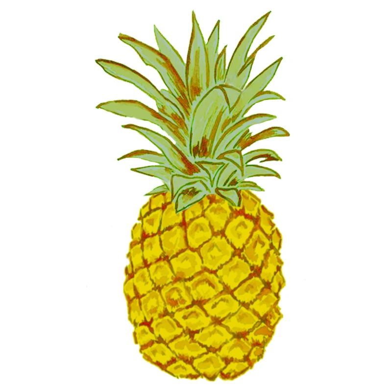 Ripe Pineapple Yellow Stylized Drawing
