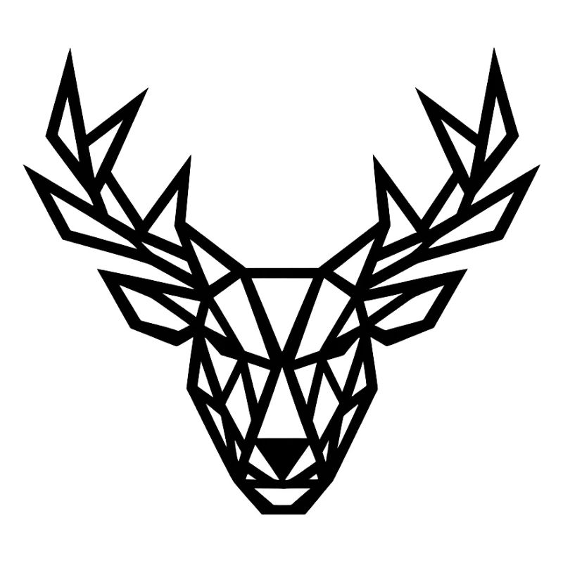 Firts deer Geometry