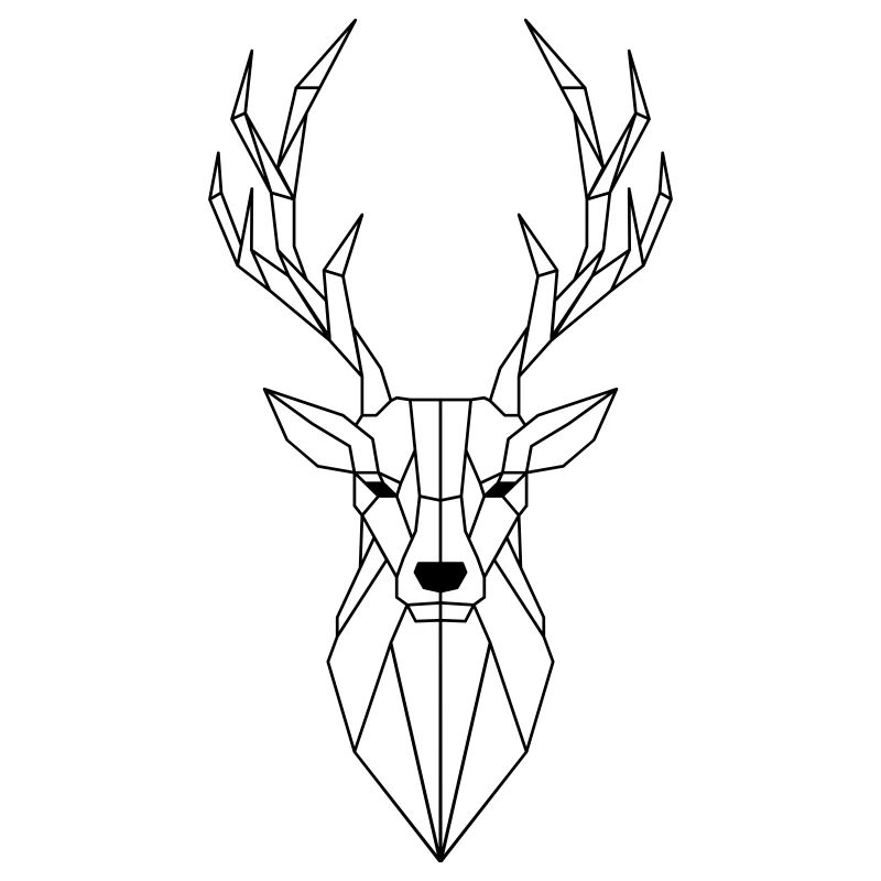 Polygone de cerf