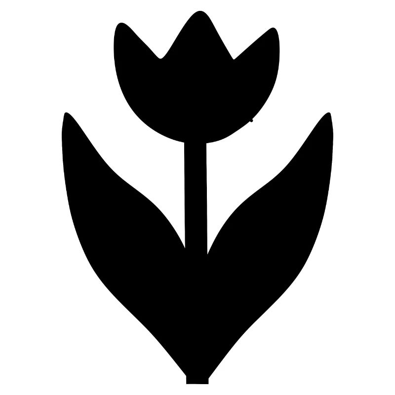 Fleur Fleurs Noires Fleur De Tulipe Fleur De Tulipe