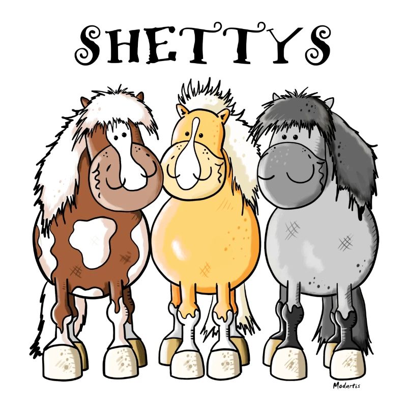 Three Shetland ponies