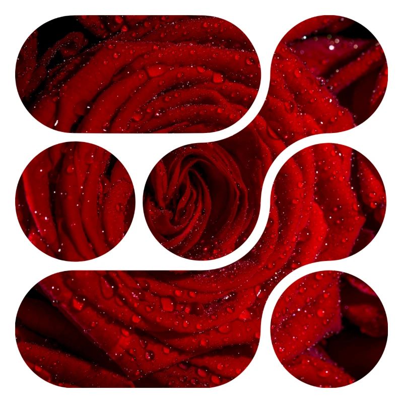 OCHOOO - Rote Rose