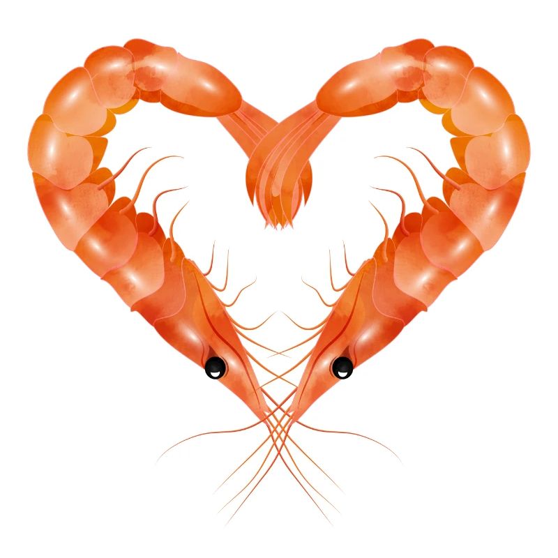 zwei Garnelen oder Shrimps in Herz Form gestaltet