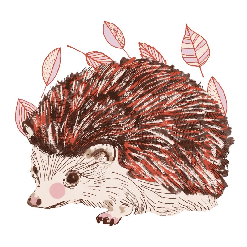 Hérisson d’automne avec un accent de fourrure rouge